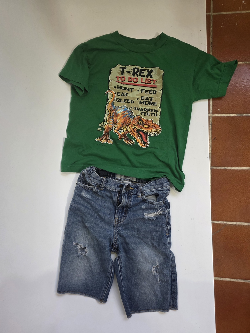 Kids Green T-Rex Graphic Tee & Jean Shorts 3pc Set.